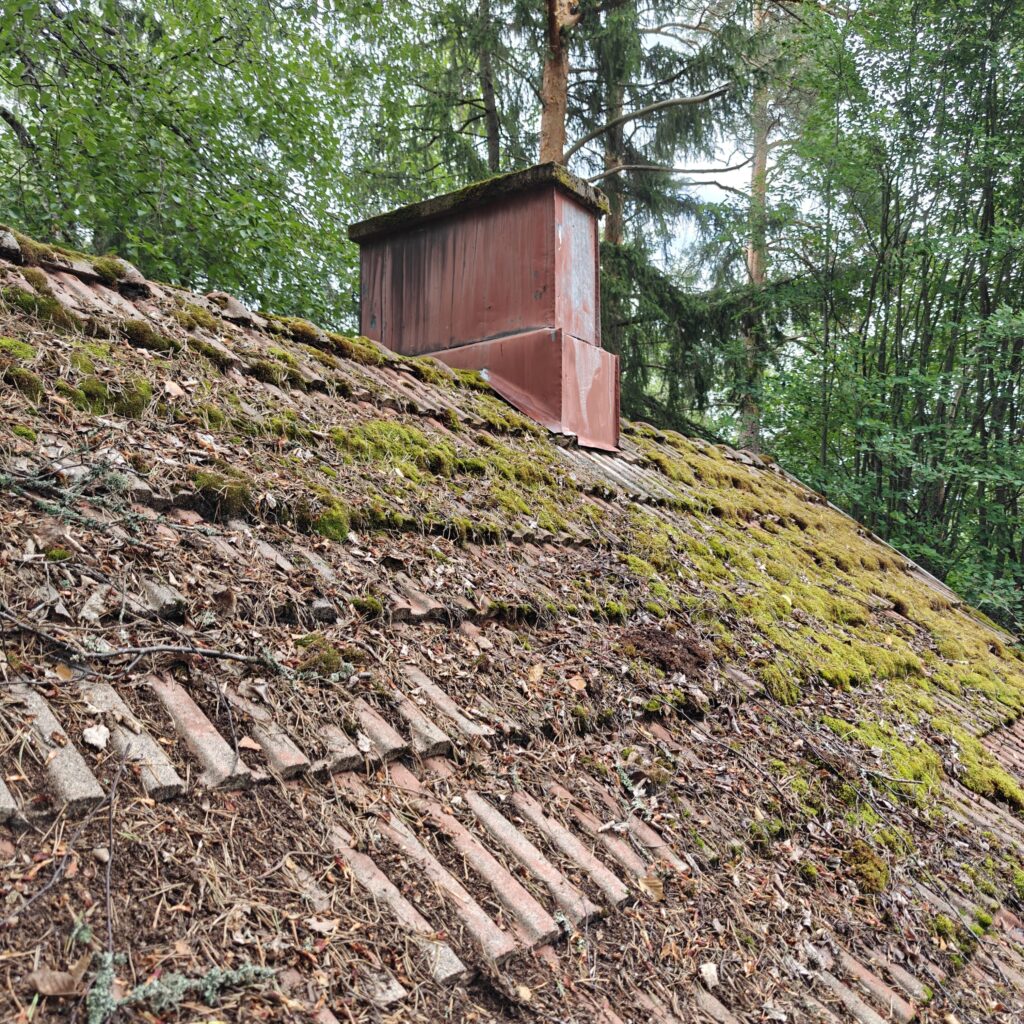 Vanhan Rantasaunan katon korjaus